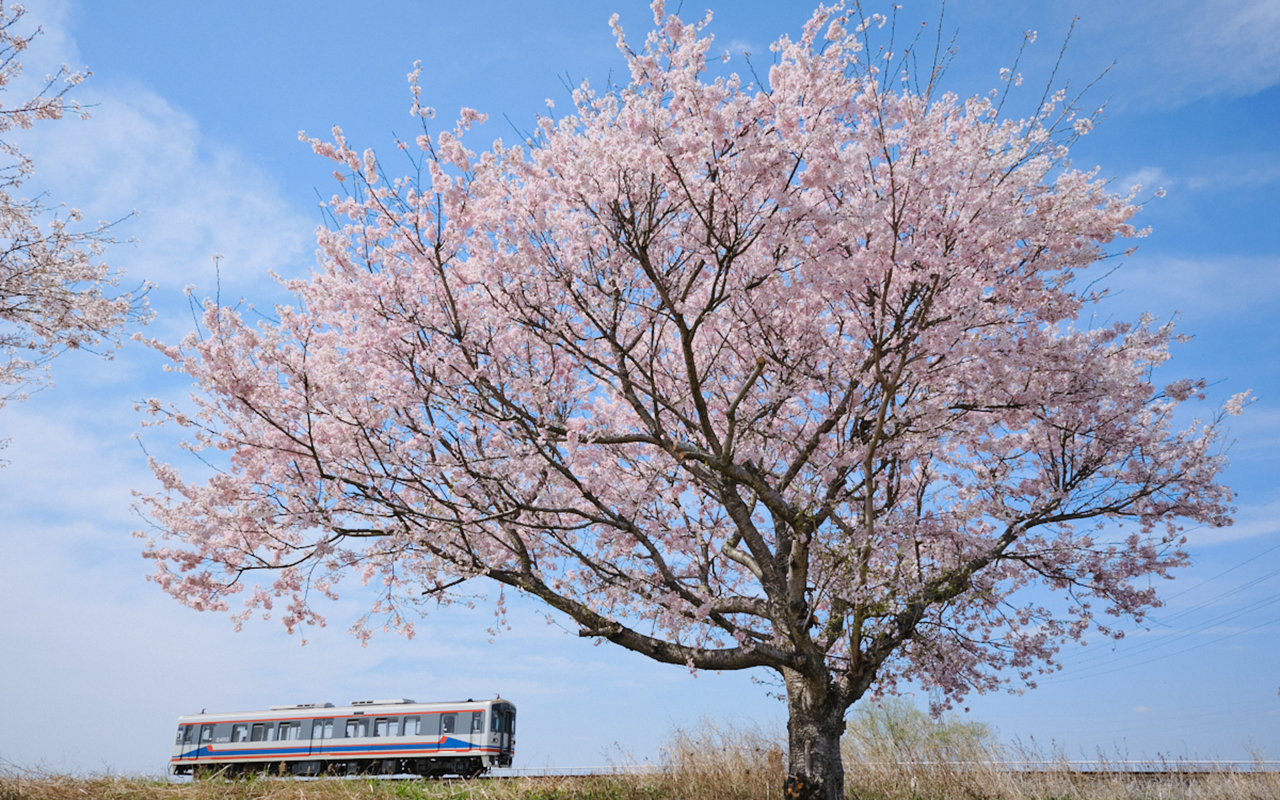 関東鉄道〜鉄道〜
