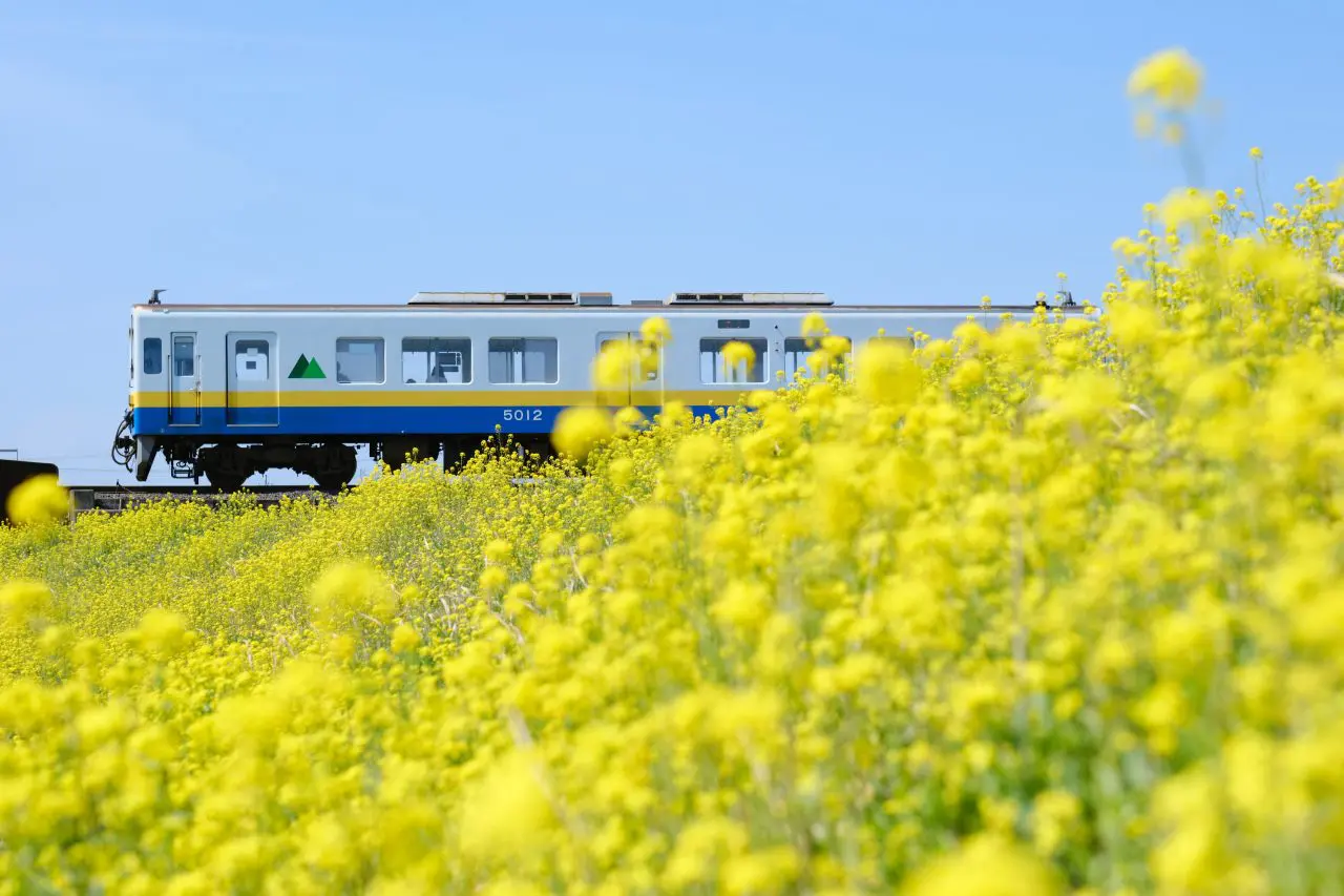 関東鉄道〜鉄道〜