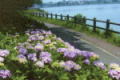 砂沼広域公園
