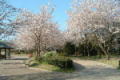 観桜苑